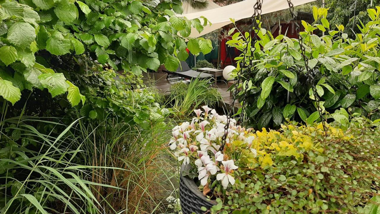 נורדהאוזן Ferienapartement Stuermer מראה חיצוני תמונה